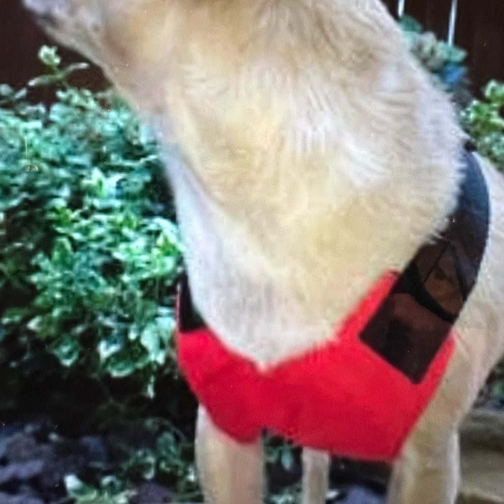 Soft Mesh Dog Harness, Size medium, Red & black, NWT